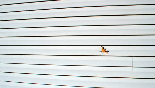Best Shed Removal  in Carlisle, OH